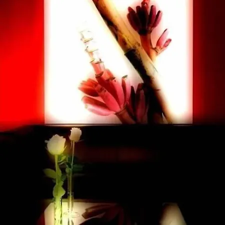 מלון Executive פורלי