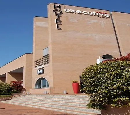Executive Hotel