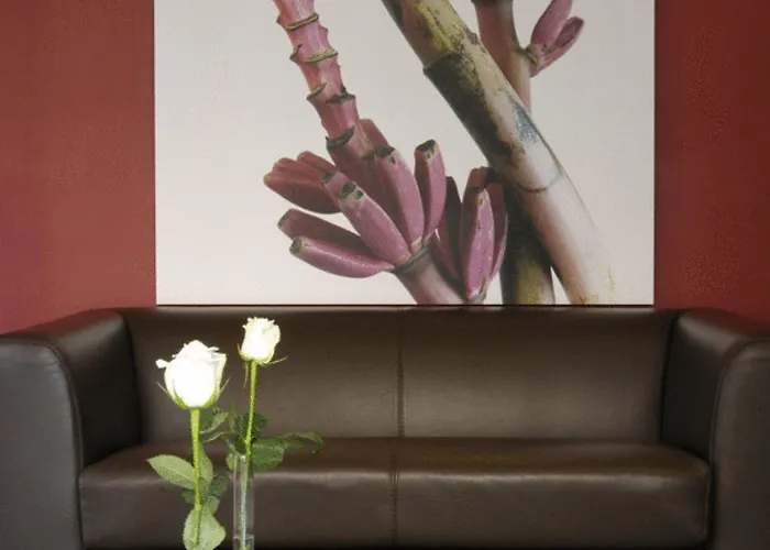 Executive 4* 포를리