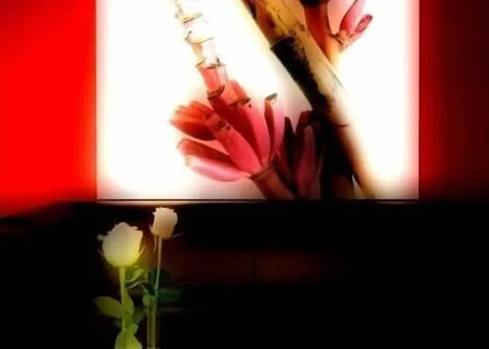 Hotel Executive Forlì